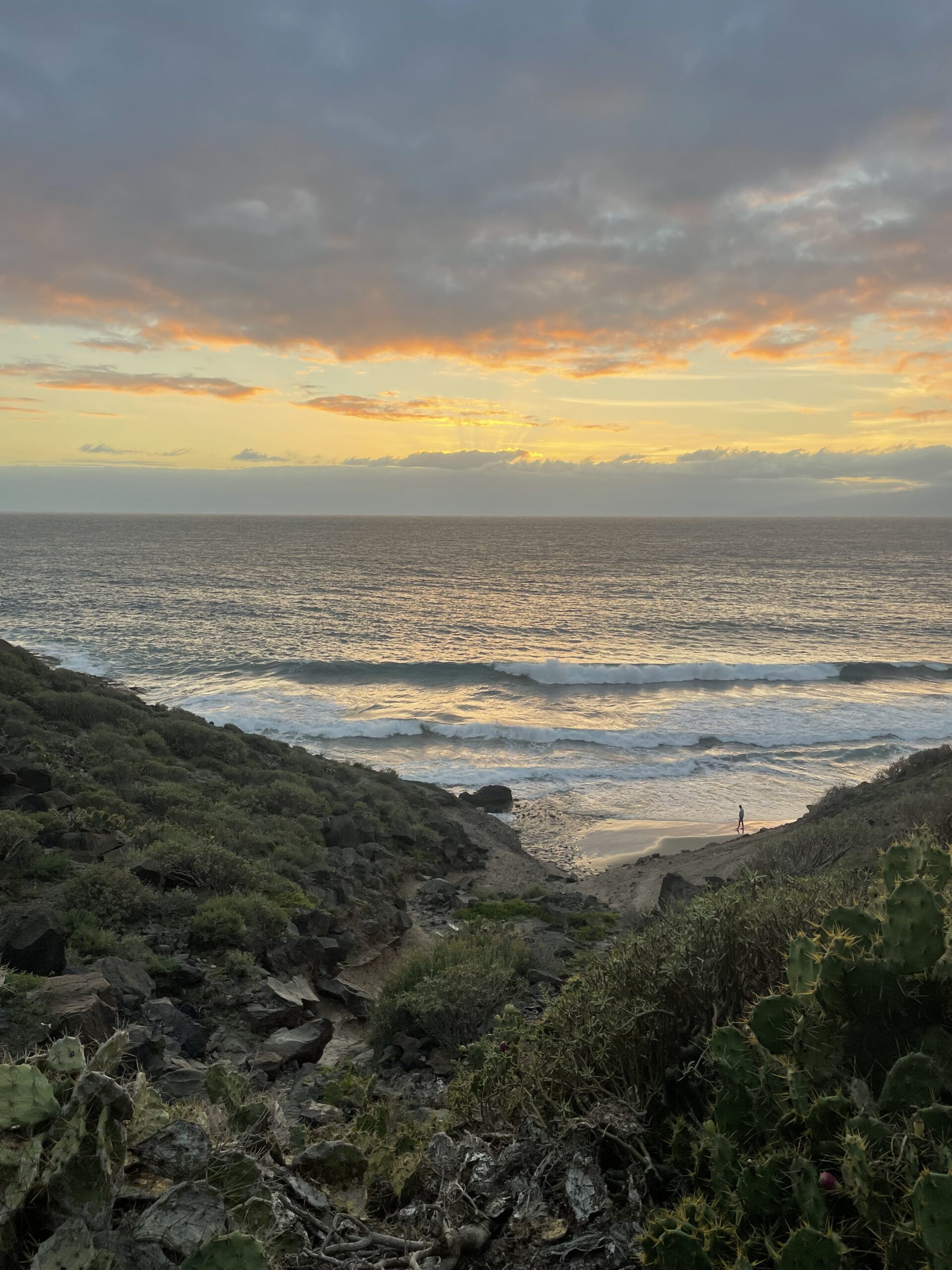 Adjusting to living on an island in Tenerife, Canary Islands, Spain.